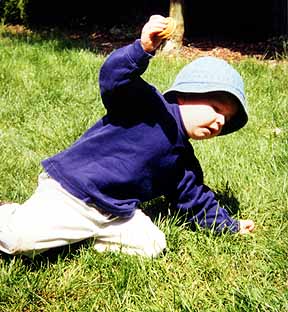 Hold on to that cookie!