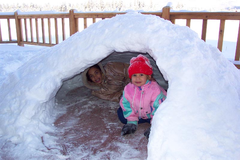 Nothing like a snow day to help those primal warrior-like defense mechanisms kick in for some fort-building