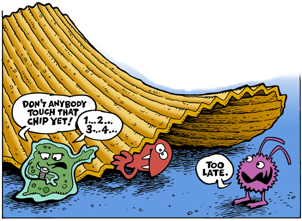 five-second-rule