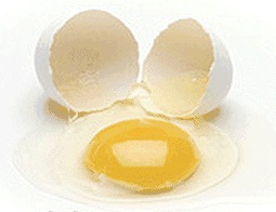 http://1000awesomethings.com/wp-content/uploads/2008/12/the-perfect-egg-crack.gif