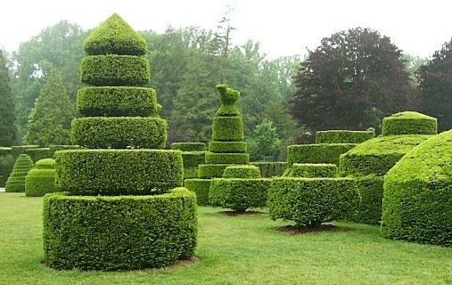 trim-those-hedges