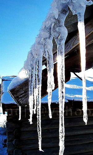 icicles