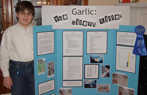 science fair poster boards