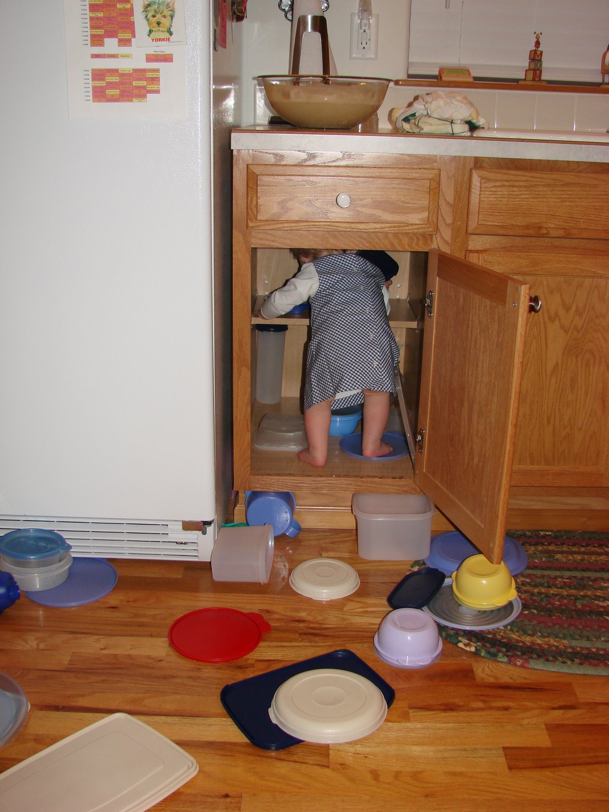 78 Finding The Right Lid In The Tupperware Cupboard Immediately